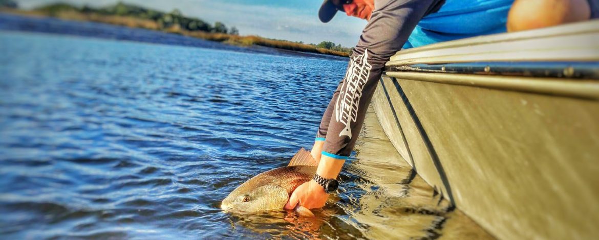 Reddrum Release