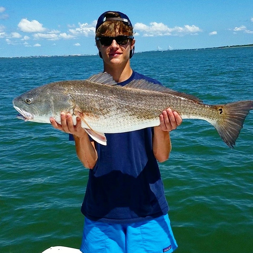 Beautiful Bull Red