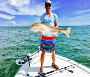 Bull Reddrum caugh in the Charleston Harbor on a Inshore Fishing Charter Trip
