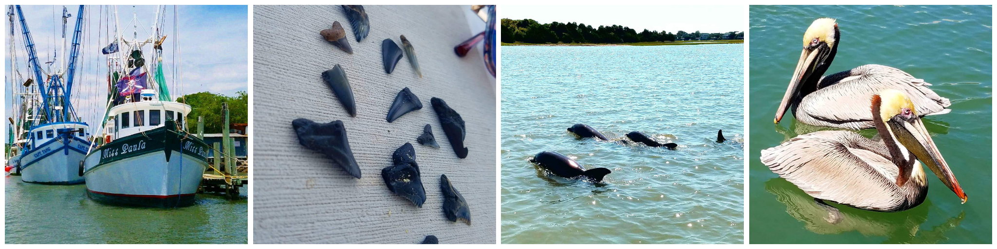 Charleston Harbor Booze Cruise