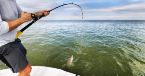 Spinner Shark Fishing in Charleston