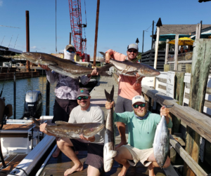 Cobia Action at the nearshore reef in Charleston, SC