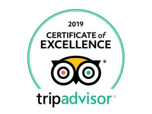 Top Fishing Charter in Charleston, Trip Advisor