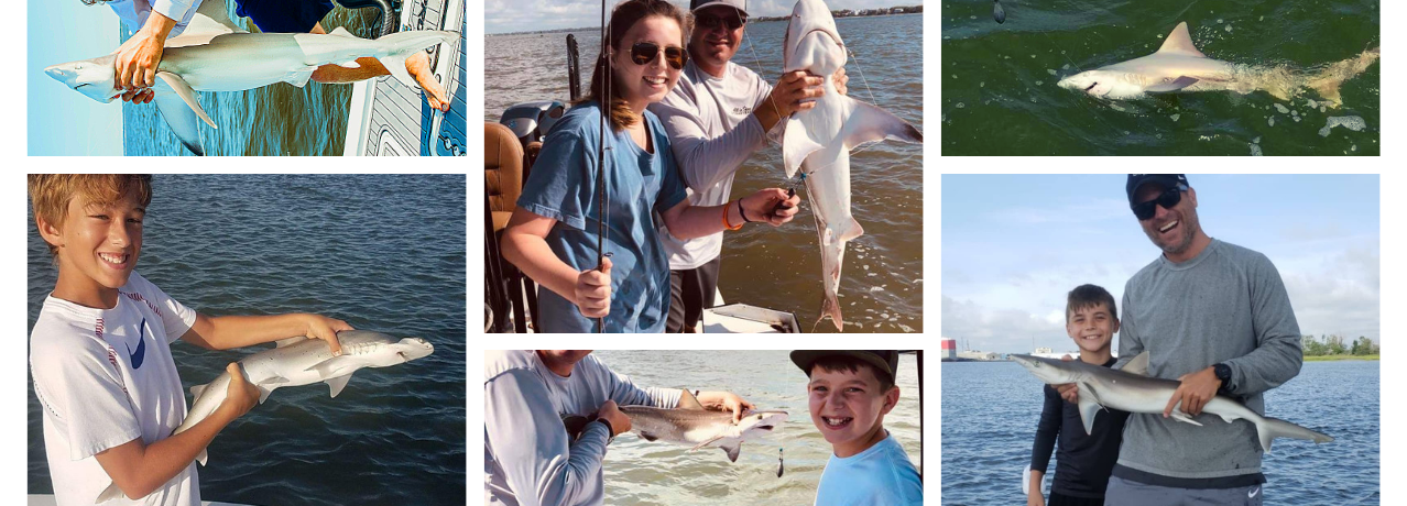 Charleston SC Shark Fishing