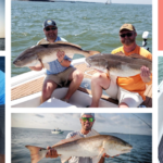 Charleston Bull Reddrum Fishing Charter