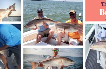 Charleston Bull Reddrum Fishing Charter