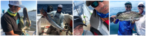 Deep Sea Nearshore and Offshore Fishing Guide - Capt. Justin