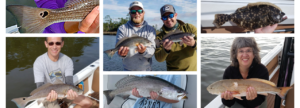 Charleston Inshore Guided Creek Fishing Charter