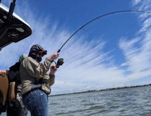 Bull Red Fishing with Captain Ronnie on a inshore fishing charter in Charleston SC