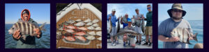Nearshore Fishing Charters with All In One Charters